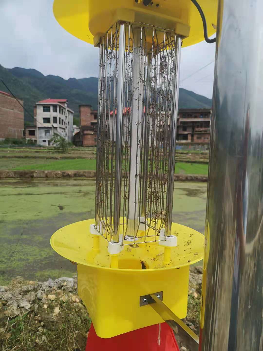 太陽(yáng)能殺蟲燈.jpg